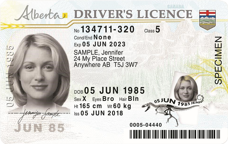 Drivers Licence