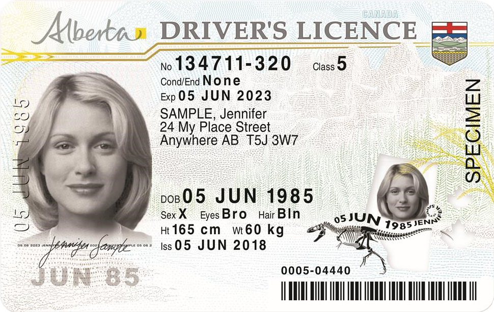 How Much Does It Cost To Renew Driver S License In Alberta